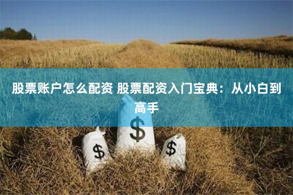 股票账户怎么配资 股票配资入门宝典：从小白到高手